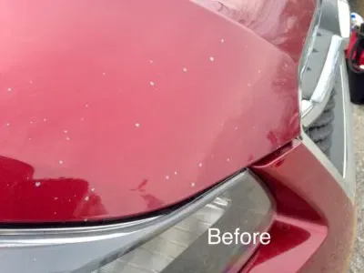 Restoration Project