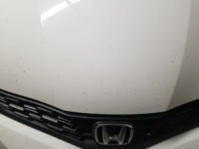 Restoration Project